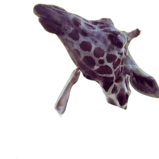 animal, umbrella, hat, staff transparent PNG cut-out