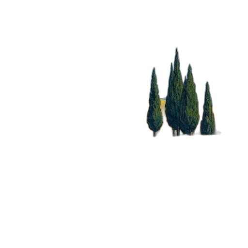 tree, crown, hair, weapon transparent PNG cut-out
