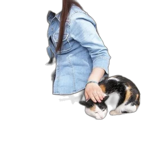 animal, jacket, creature, staff transparent PNG cut-out