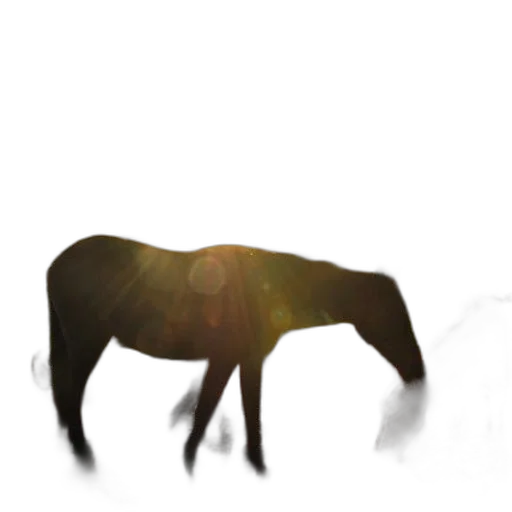 animal, creature, staff, hair transparent PNG cut-out