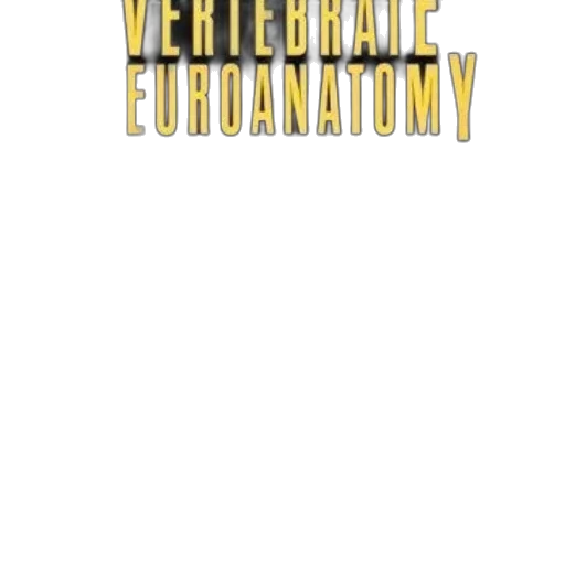 vertebrate, neuroanatomy, evolution, adaptation transparent PNG cut-out