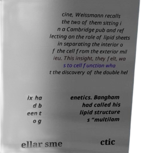 bottle, text-based, image, discussing transparent PNG cut-out