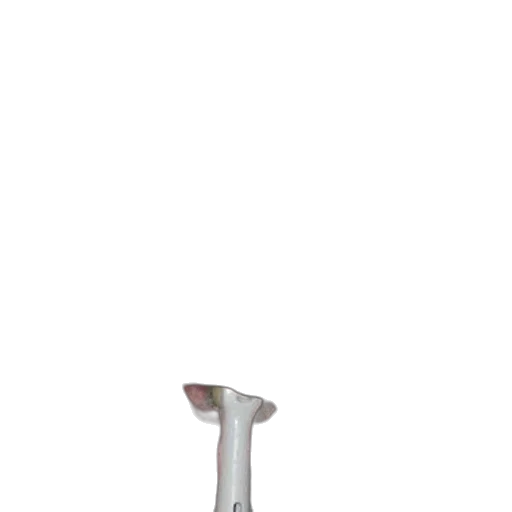 staff, furniture, umbrella, shoes transparent PNG cut-out