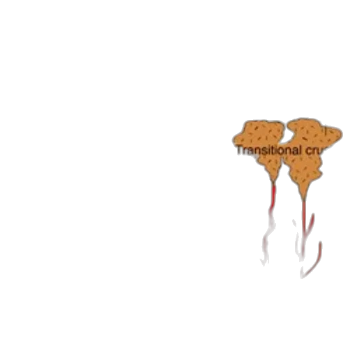 food, umbrella, hair, weapon transparent PNG cut-out
