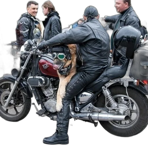 jacket, animal, weapon, concept art transparent PNG cut-out