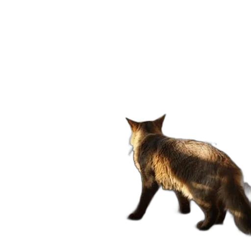 animal, creature, staff, hat transparent PNG cut-out
