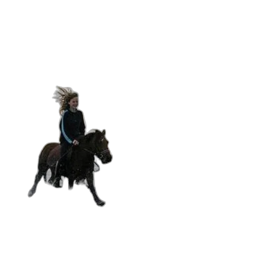 hair, animal, staff, creature transparent PNG cut-out