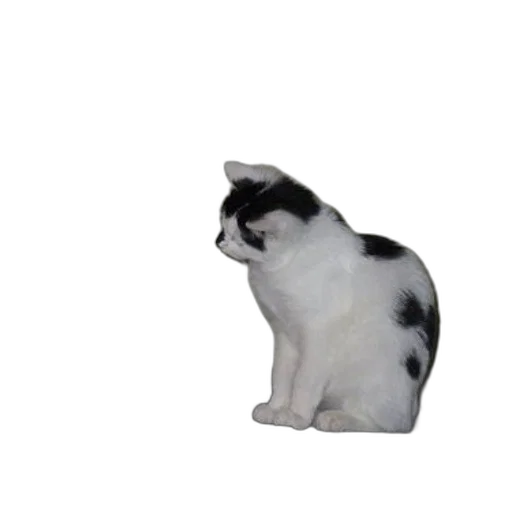 animal, staff, creature, robot transparent PNG cut-out
