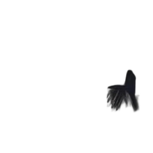 hair, shoes, hat, crown transparent PNG cut-out