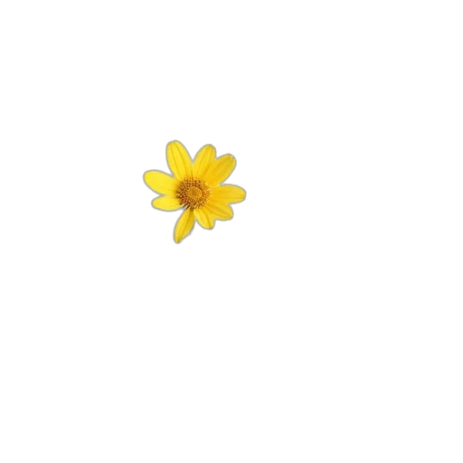 flower, crown, weapon, jewelry transparent PNG cut-out