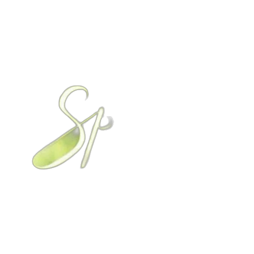staff, jewelry, shoes, furniture transparent PNG cut-out