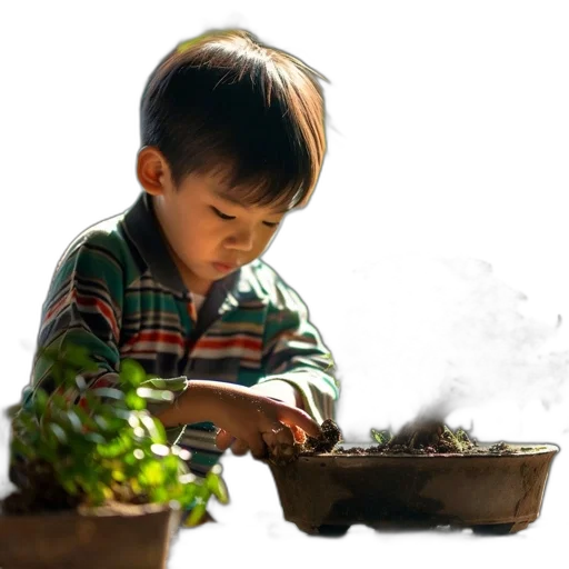photorealistic, youth, asian, descent transparent PNG cut-out
