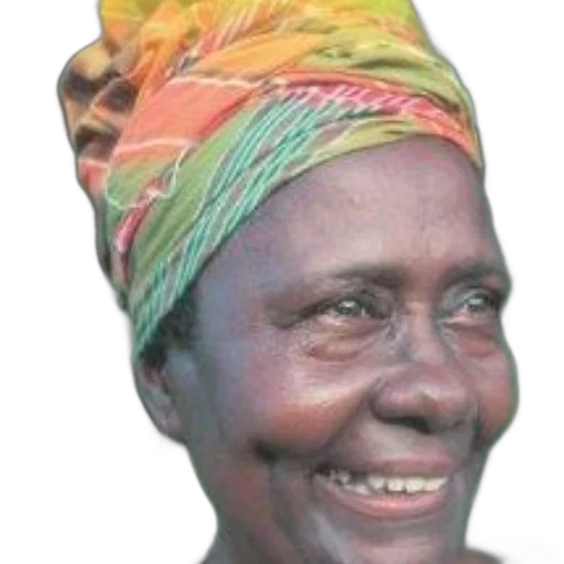 face, staff, hat, crown transparent PNG cut-out