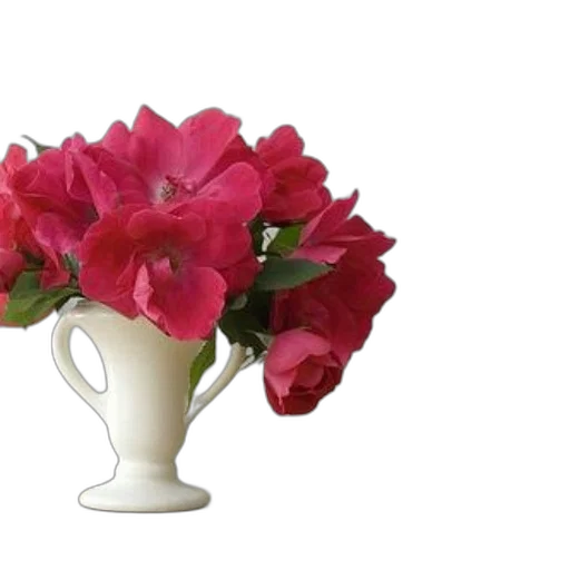 flower, crown, photorealistic, 3d render transparent PNG cut-out
