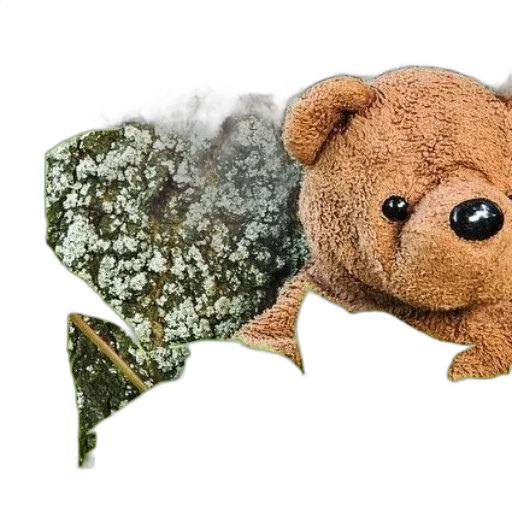 animal, creature, photorealistic, forest transparent PNG cut-out