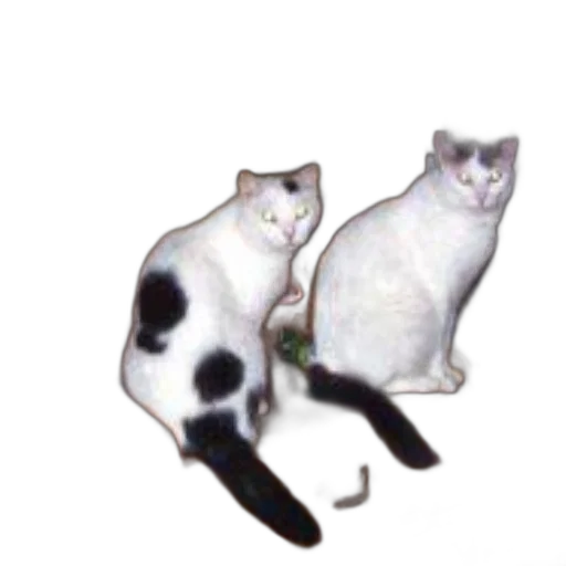 staff, animal, creature, shoes transparent PNG cut-out