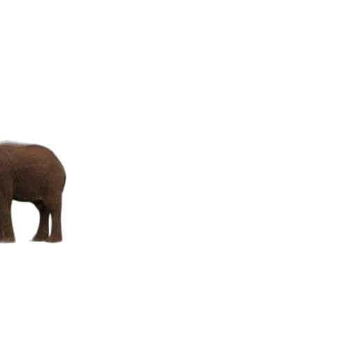 animal, creature, furniture, weapon transparent PNG cut-out