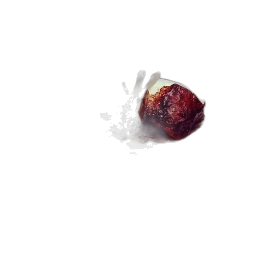 food, hair, face, animal transparent PNG cut-out