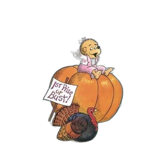 dress, berenstain, bears, prize transparent PNG cut-out