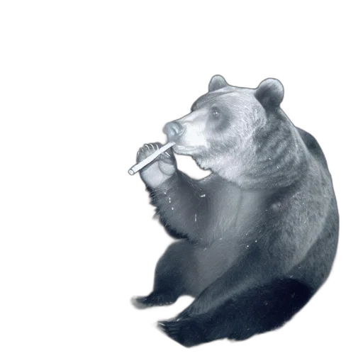 animal, face, creature, food transparent PNG cut-out