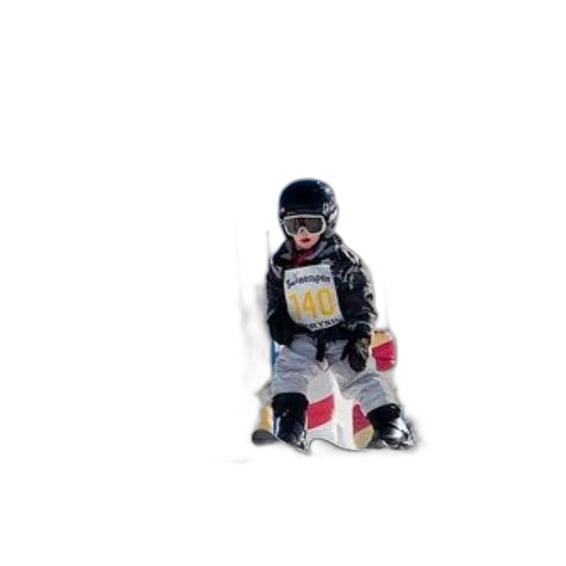 robot, jacket, animal, creature transparent PNG cut-out