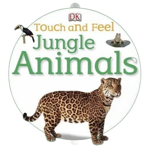 animal, vibrant, book, cover transparent PNG cut-out