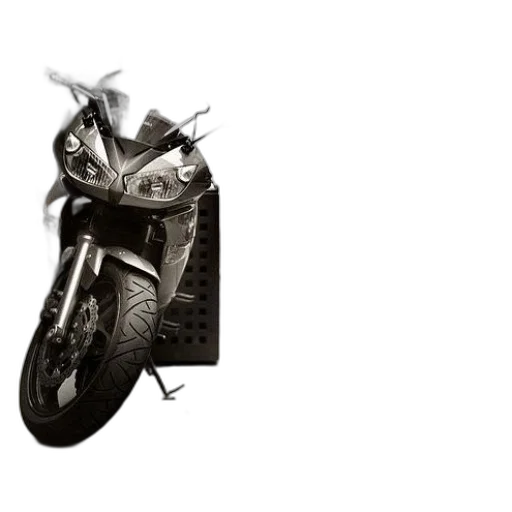 jacket, weapon, dragon, animal transparent PNG cut-out