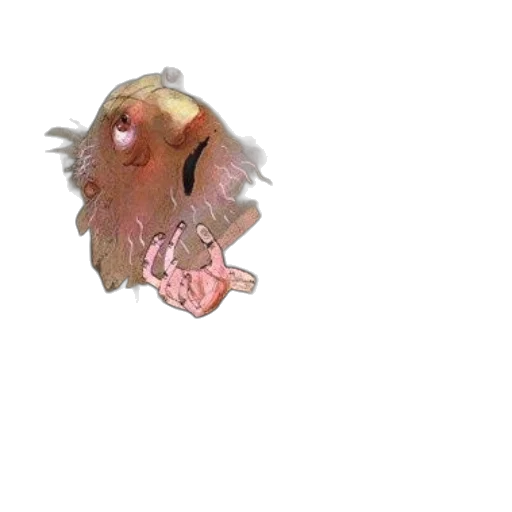 hair, creature, face, animal transparent PNG cut-out