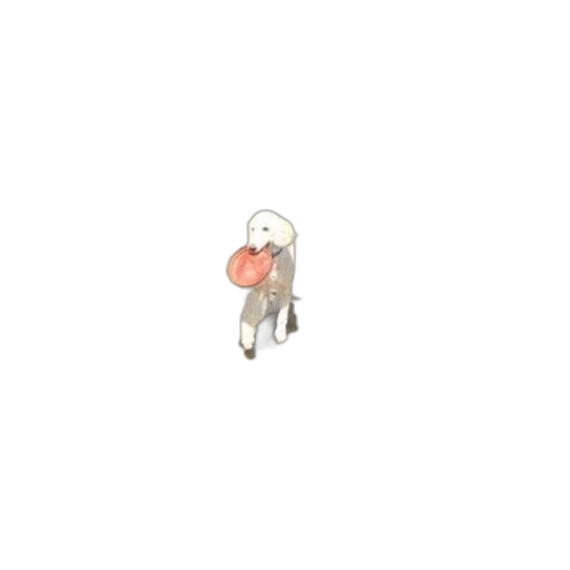 jewelry, food, creature, staff transparent PNG cut-out
