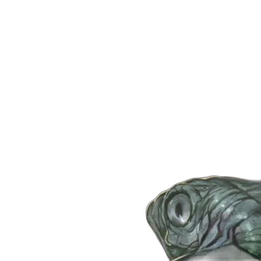 face, creature, animal, dragon transparent PNG cut-out