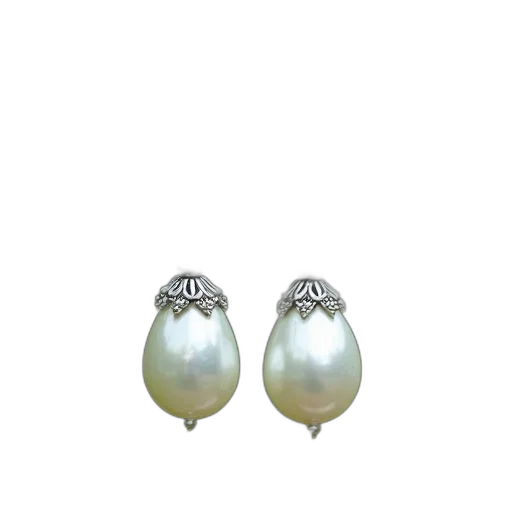 jewelry, crown, shoes, flower transparent PNG cut-out