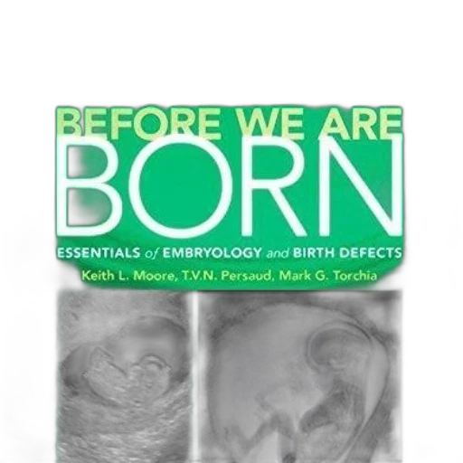 mask, book, cover, titled transparent PNG cut-out