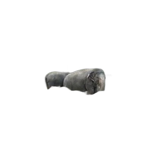 weapon, bottle, umbrella, furniture transparent PNG cut-out