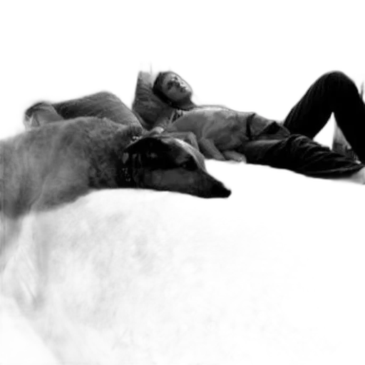 animal, creature, photorealistic, concept art transparent PNG cut-out