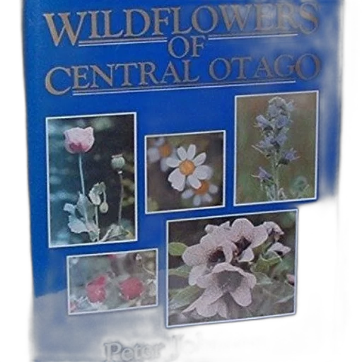 book, titled, wildflowers, central transparent PNG cut-out