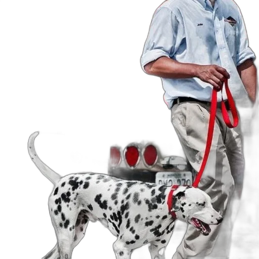 staff, animal, creature, photorealistic transparent PNG cut-out