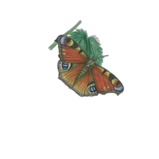 animal, creature, dragon, jewelry transparent PNG cut-out