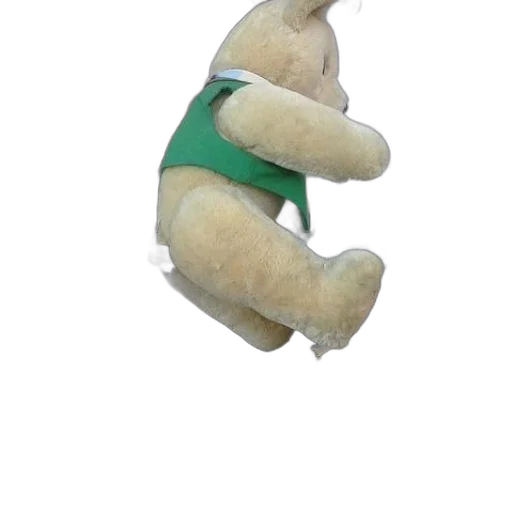 staff, animal, creature, hat transparent PNG cut-out