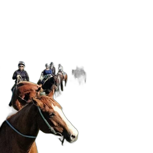 animal, hat, mask, staff transparent PNG cut-out