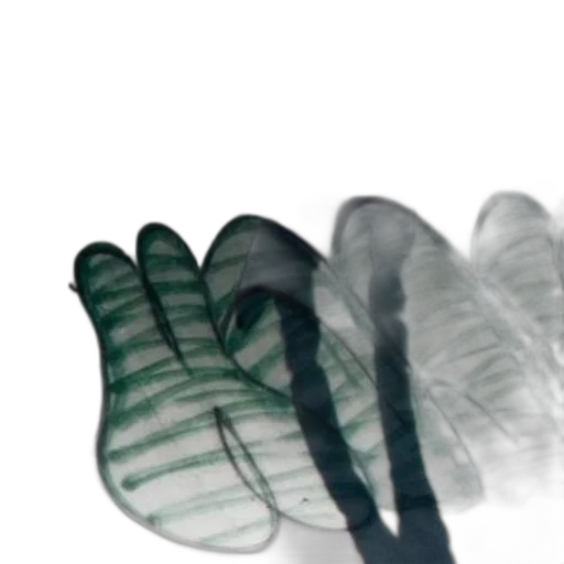 shoes, umbrella, mask, hair transparent PNG cut-out