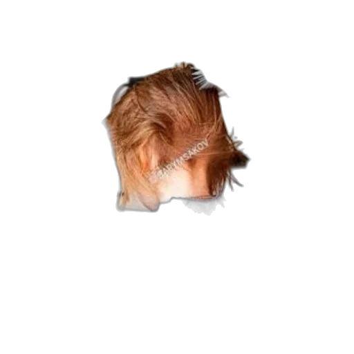 hair, mask, face, hat transparent PNG cut-out