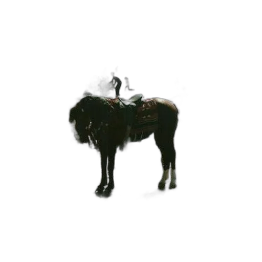 animal, staff, crown, hair transparent PNG cut-out