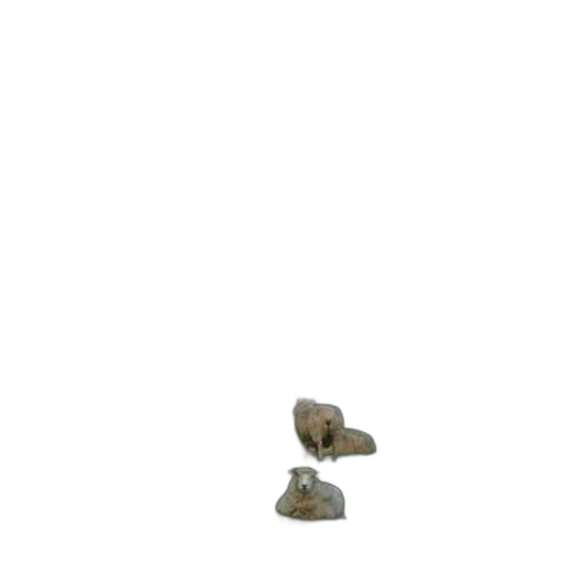 shoes, hat, furniture, jewelry transparent PNG cut-out