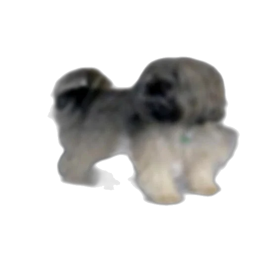 animal, creature, hair, staff transparent PNG cut-out