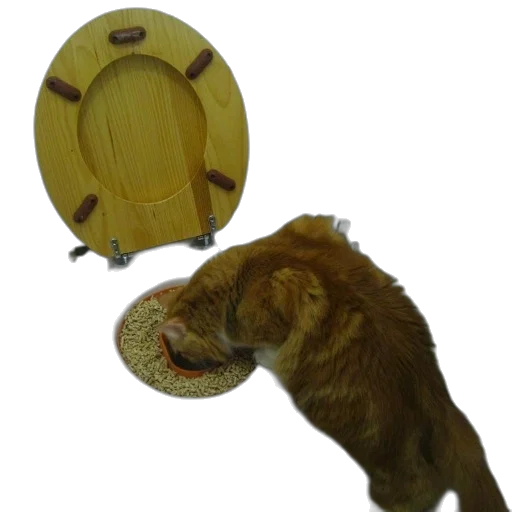 hat, animal, mask, staff transparent PNG cut-out