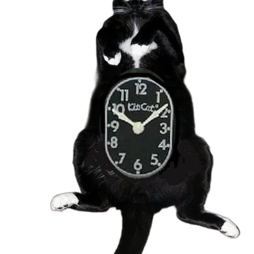animal, staff, photorealistic, black transparent PNG cut-out