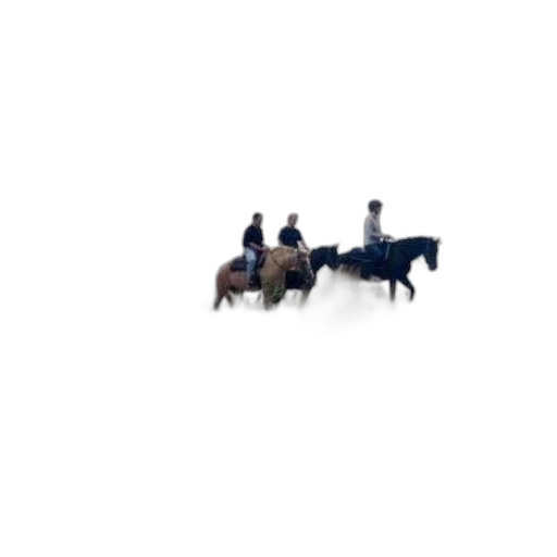 furniture, car, animal, staff transparent PNG cut-out