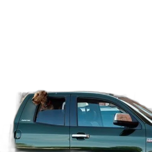 car, animal, staff, hat transparent PNG cut-out