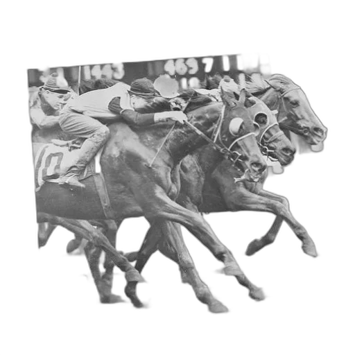 crown, animal, jewelry, staff transparent PNG cut-out