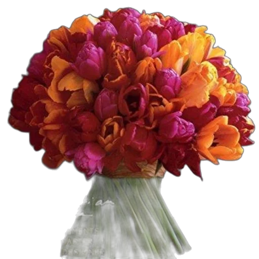 crown, flower, photorealistic, colorful transparent PNG cut-out